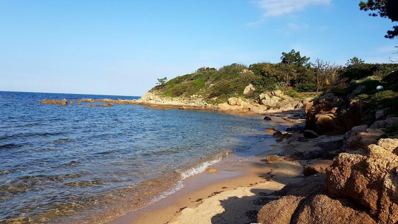 Hébergement de vacances Mini à 100m De La Sari-Solenzara