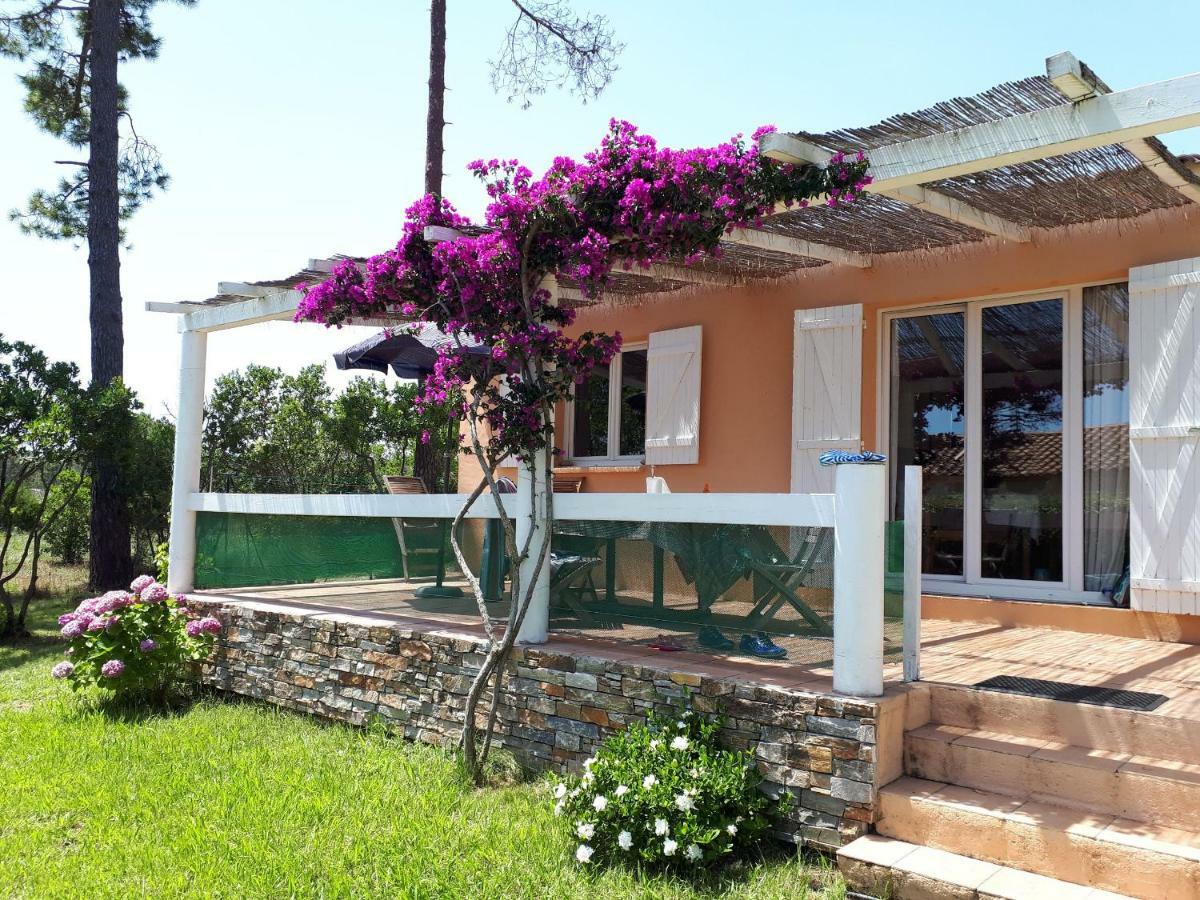 Mini A 100m De La Avec Prise De Recharge Elec Privative Holiday home